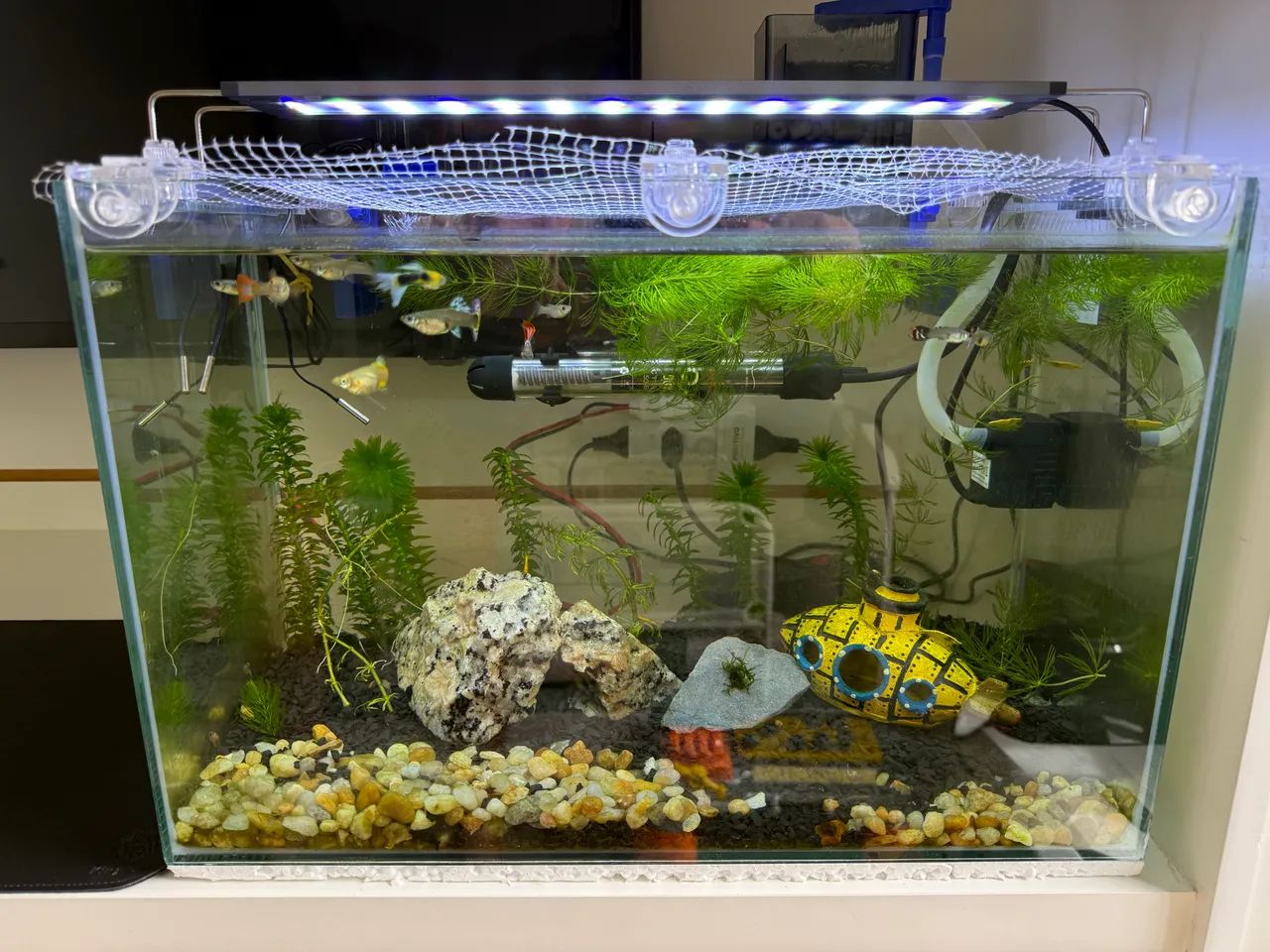 Aquário 32 litros completo com sump e luminária SOMA S-400! Oportunidade.