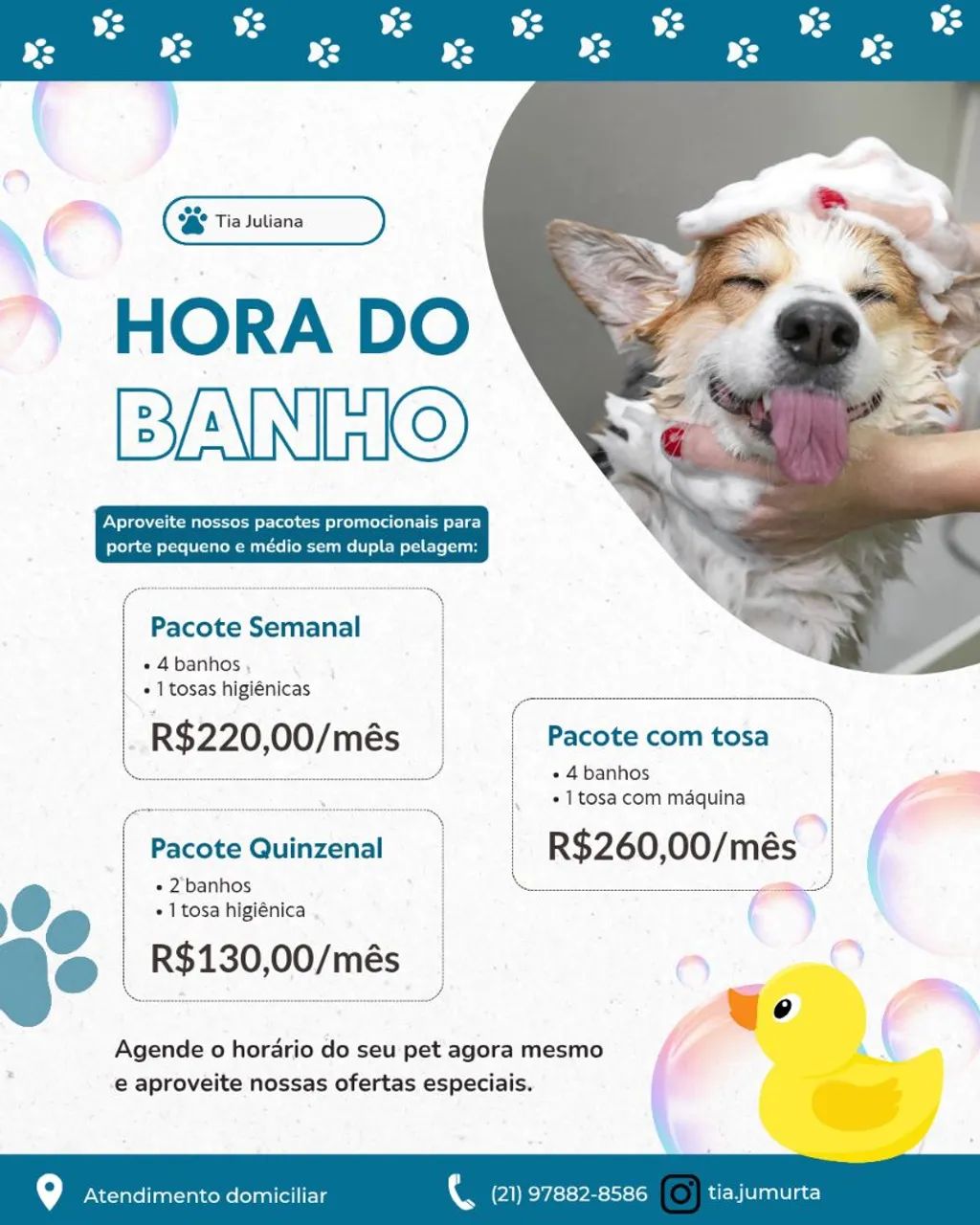Banho e tosa em domicílio  - Foto 3