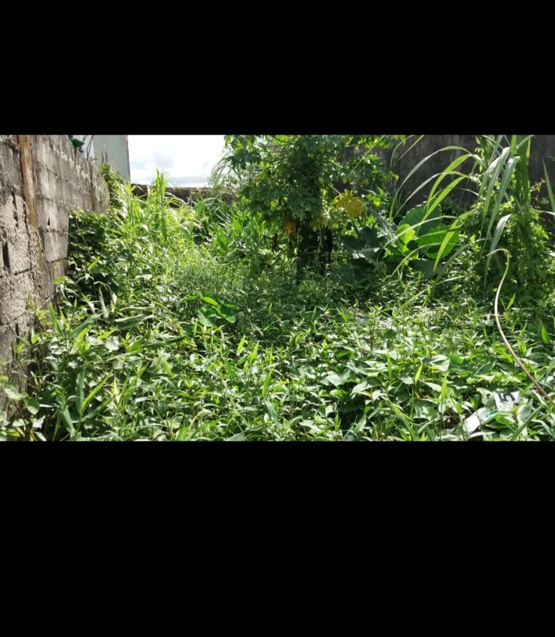 Terreno em obra em Mongaguá casa ? - Foto 5