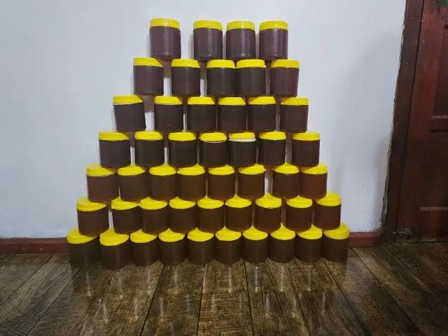 Mel Puro Recém Colhido