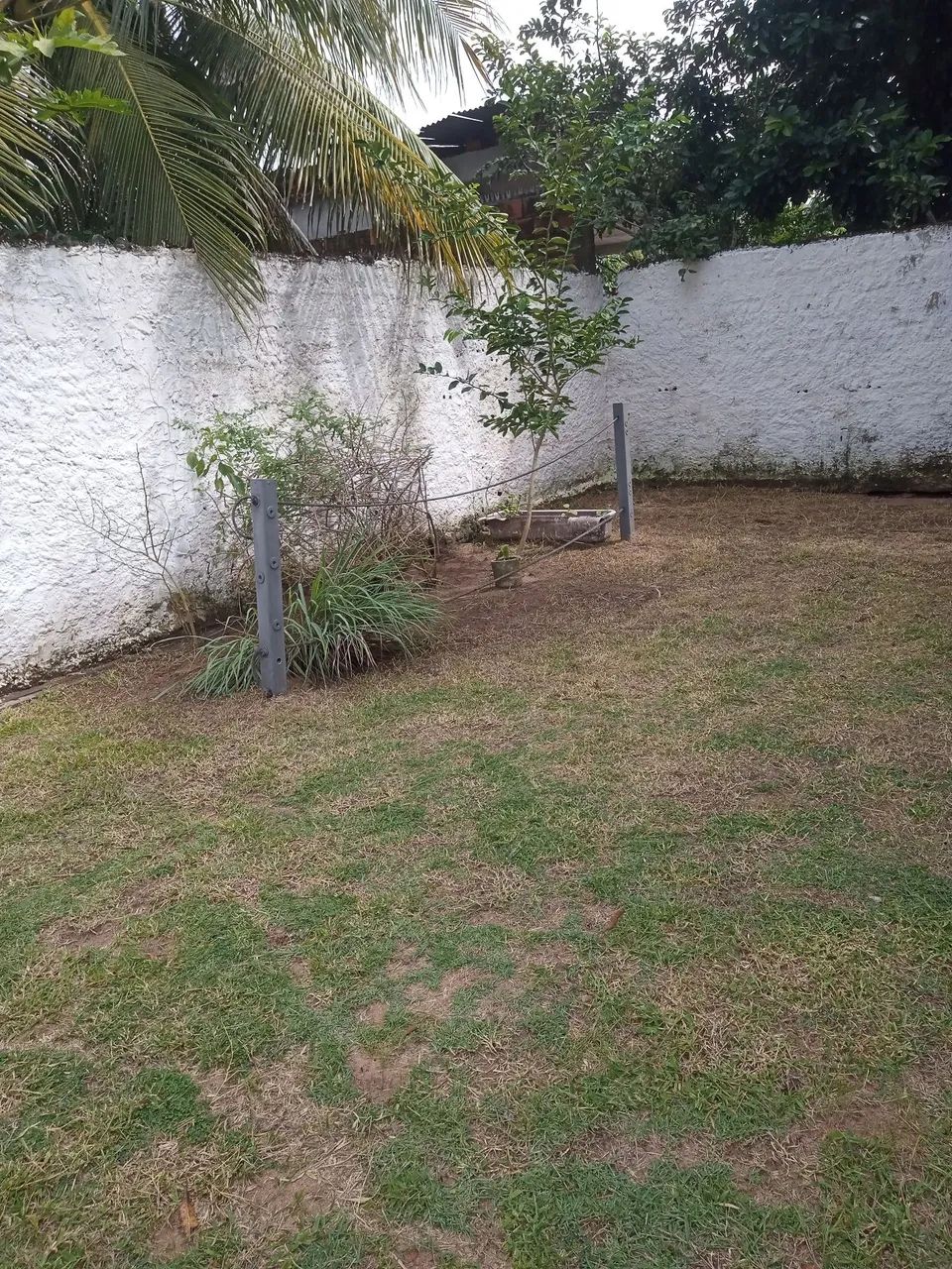 Aluguel  - Foto 3