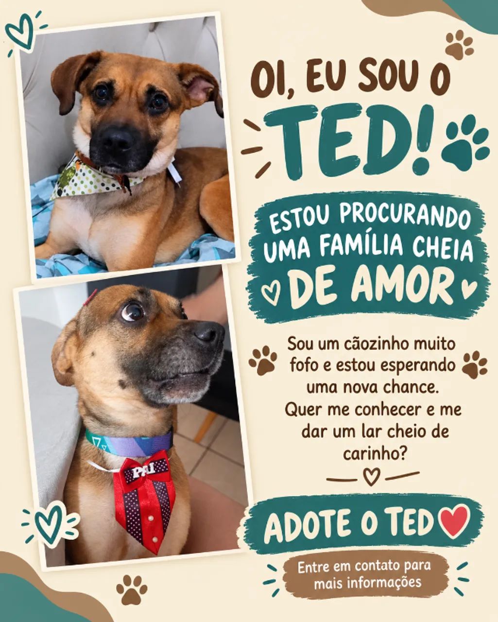Doação de Pet