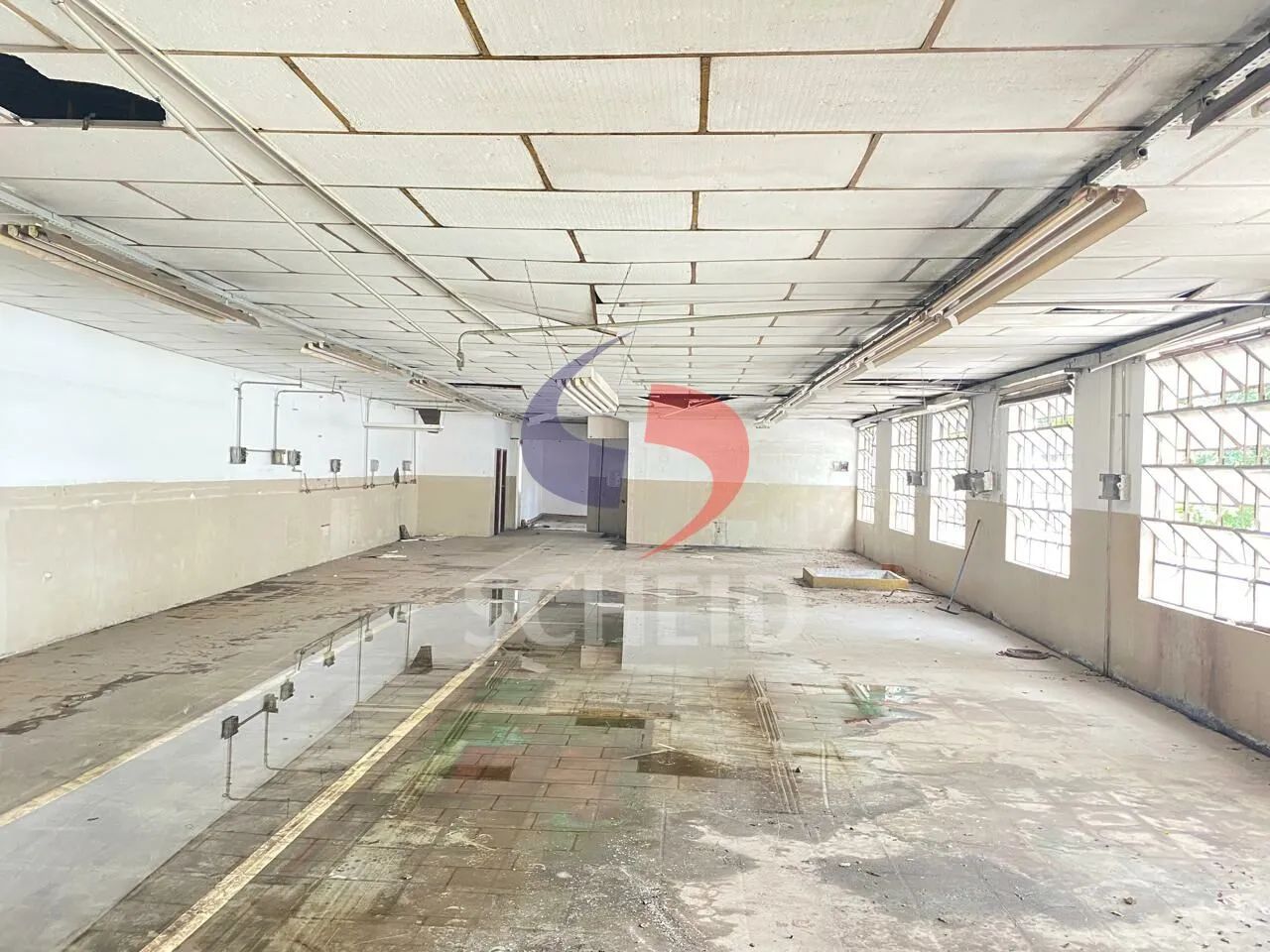 PRÉDIO DE ESQUINA - LOCAÇÃO NA GRANJA JULIETA - Foto 7
