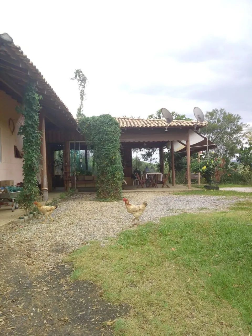 Sitio  - Foto 2