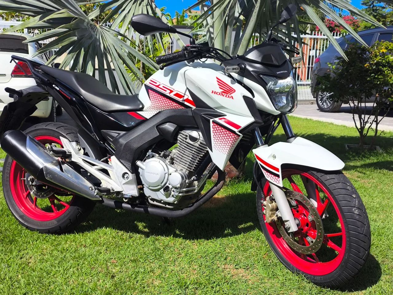 CB 250F (Twister) 2022