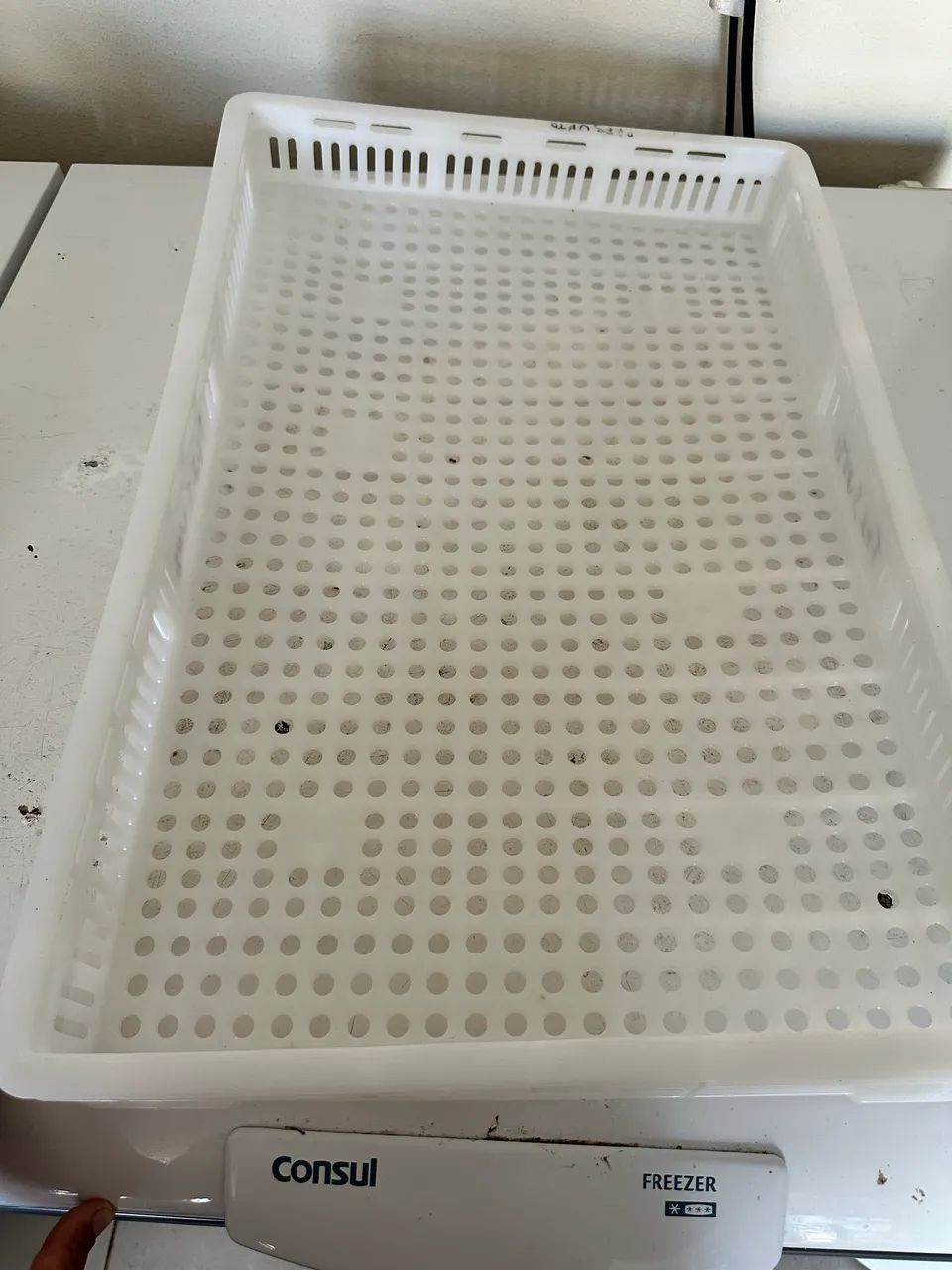 Bandeja para congelamento  - Foto 2