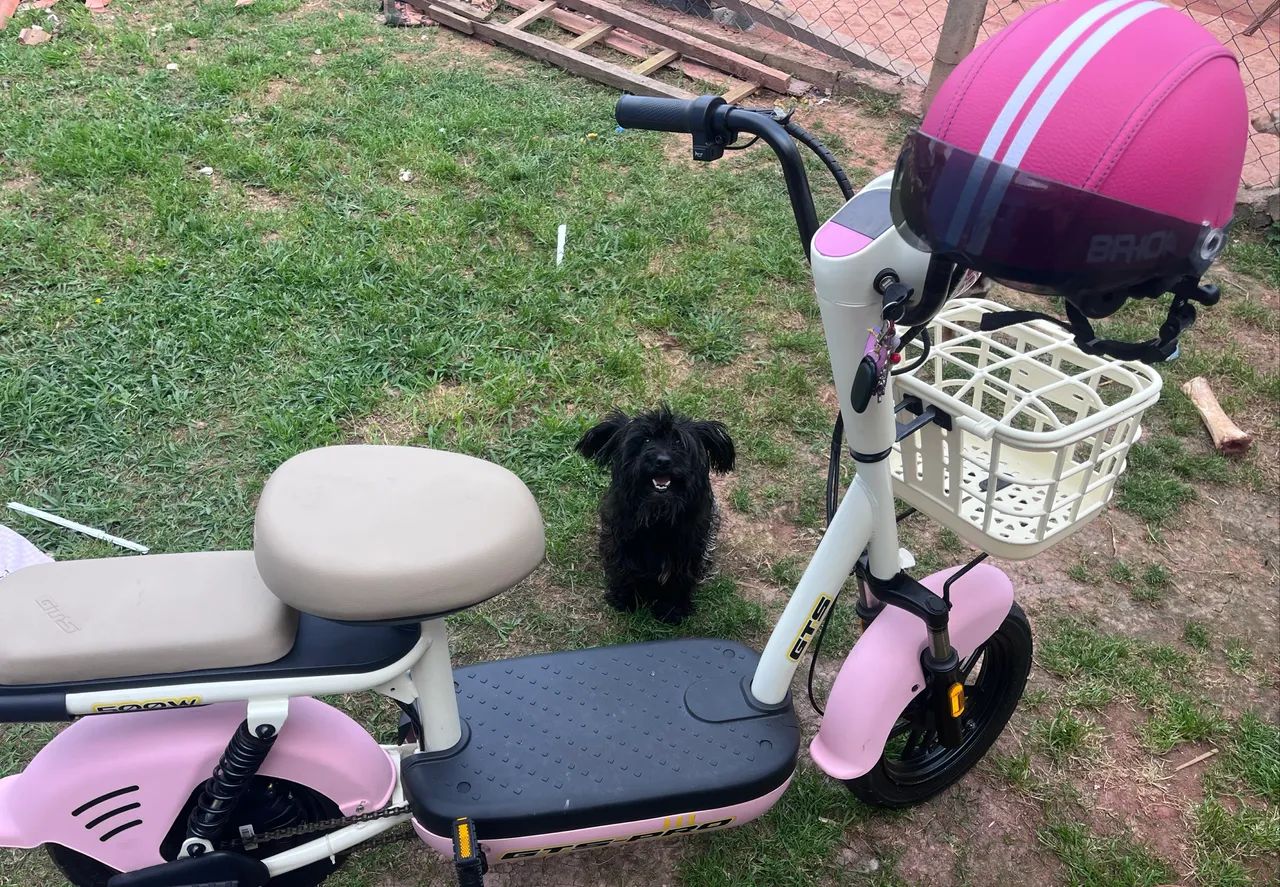 Scooter elétrica  - Foto 2