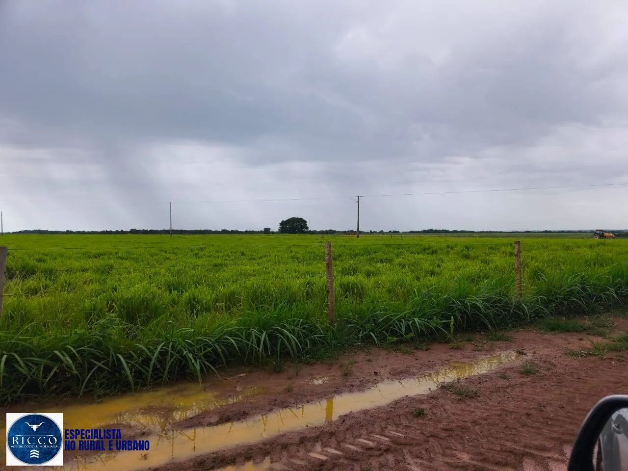 Fazenda de 504 Alqueires em Alvorada-TO! - Foto 5