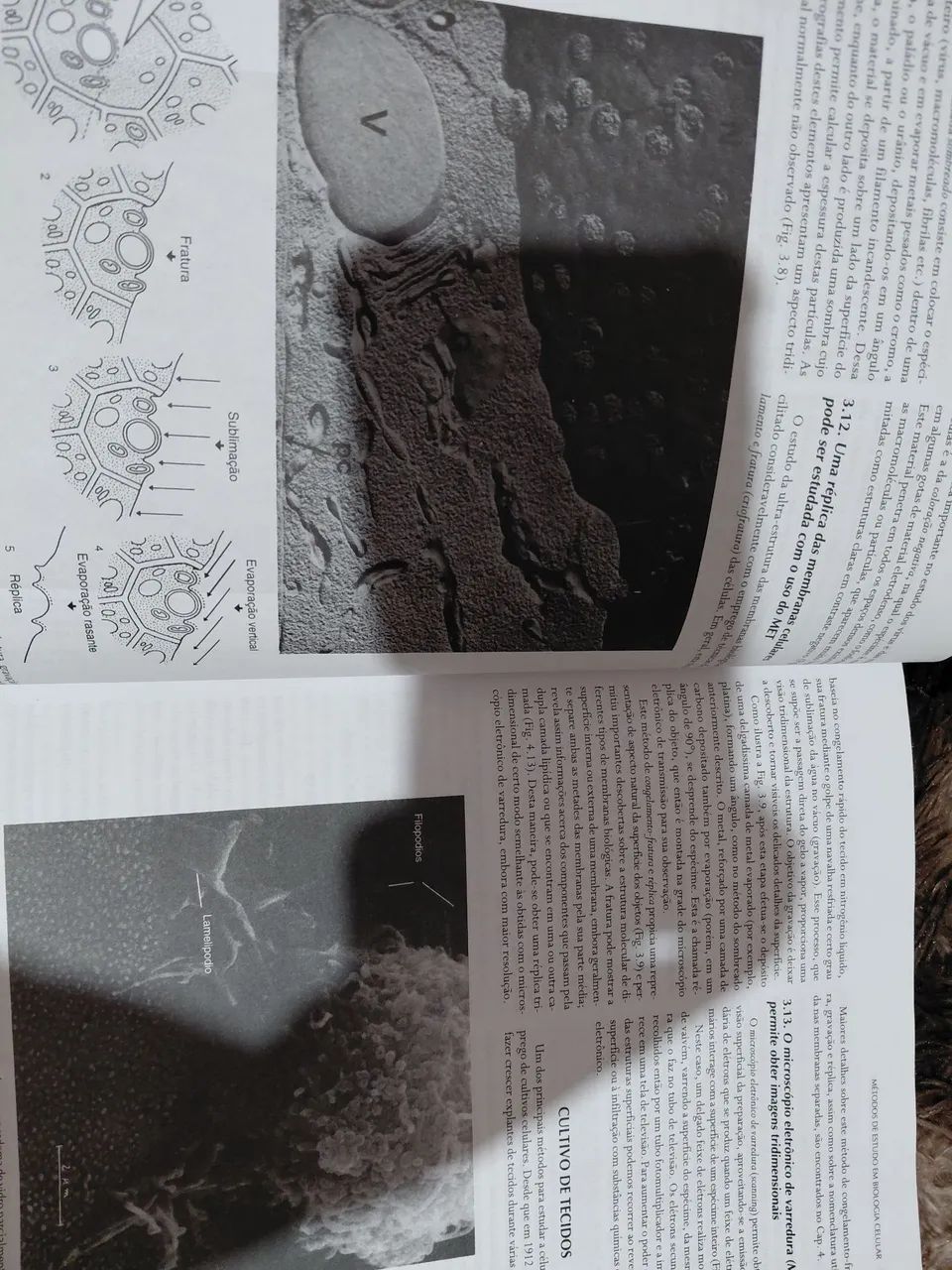 Livro de Biologia molecular e celular  - Foto 5