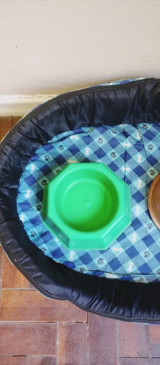 Kit, cama, cambucas, máquina de tosar e máquina de tosar para para cão  - Foto 3