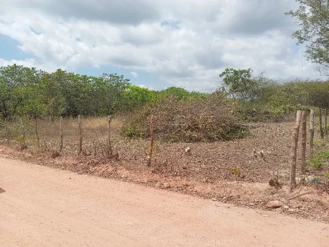 Terreno ideal para sítio ou chácara. - Foto 3