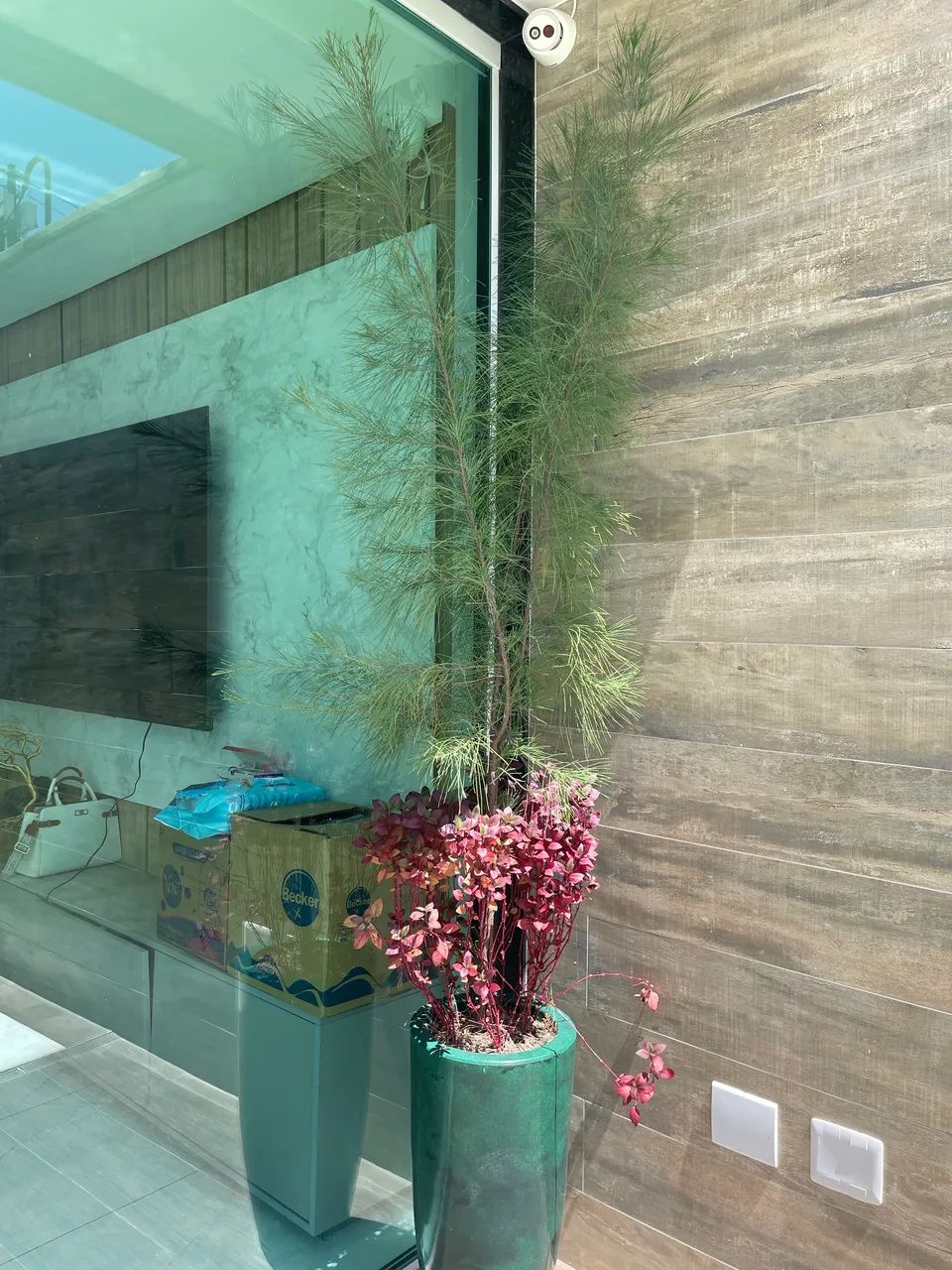 Vaso com planta - Foto 2