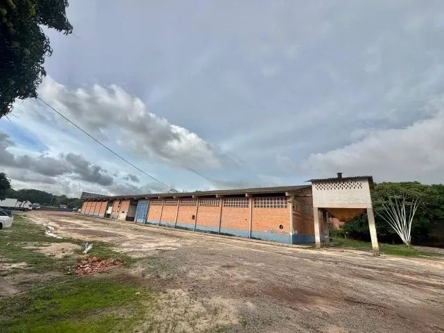 Oportunidade Logística, Alugo Galpão BR 135, (na pista) - Foto 3