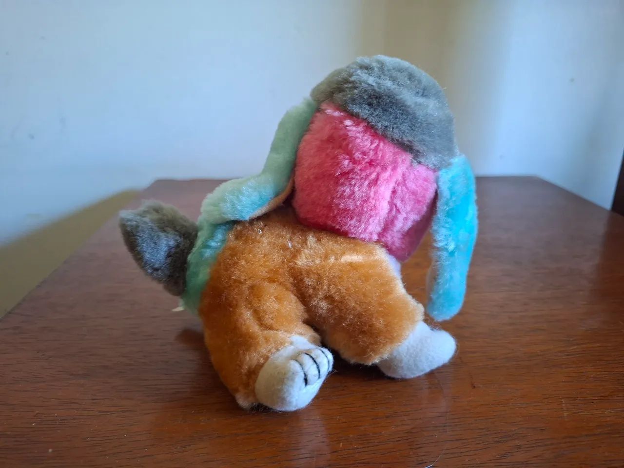 Cachorro de chapéu  - Foto 2