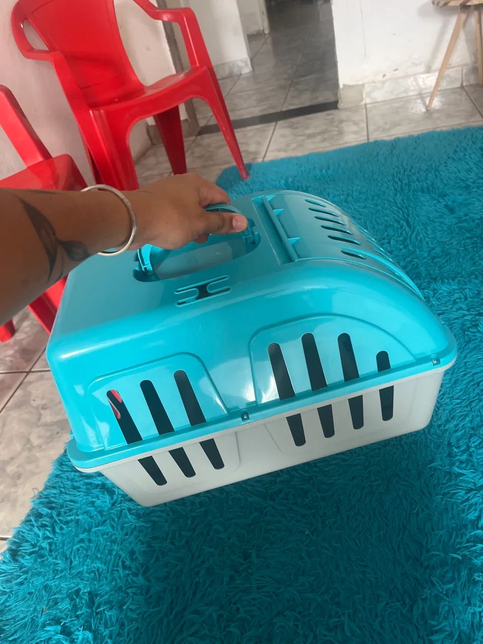 Casa de passeio de cachorro - Foto 3