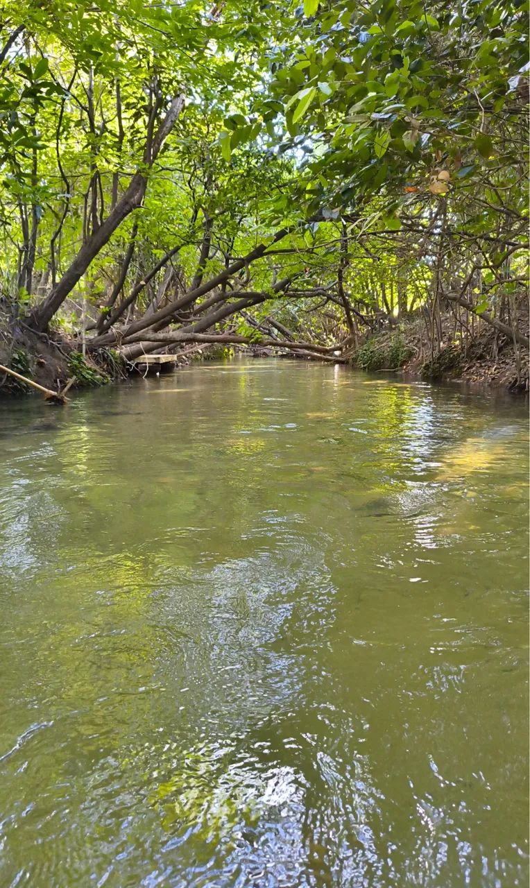 Sítio bom intento 16 km da nova ponte do Caçari e Paraviana 