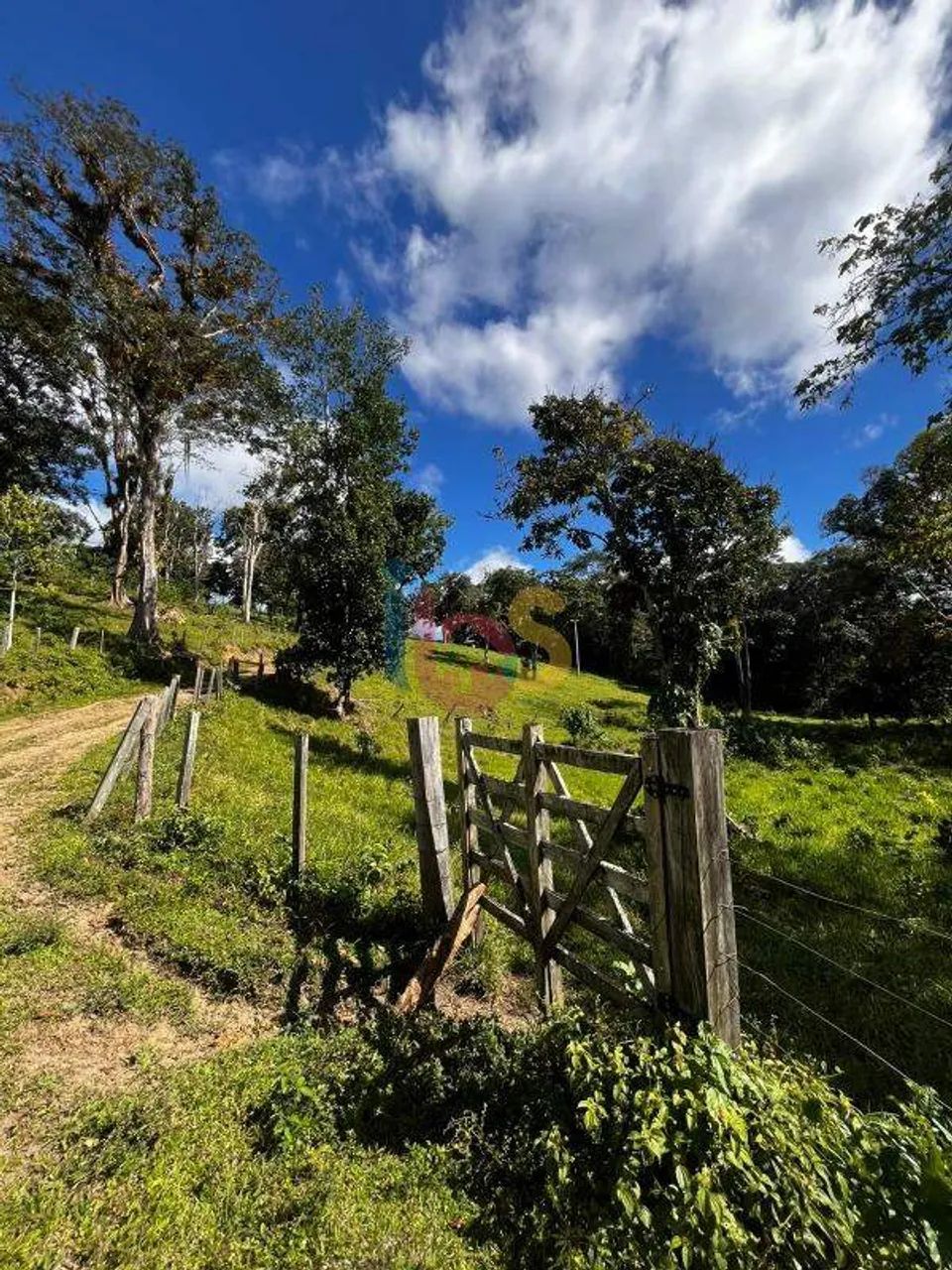 VENDO FAZENDA DE 33ha - URUÇUCA - Foto 4