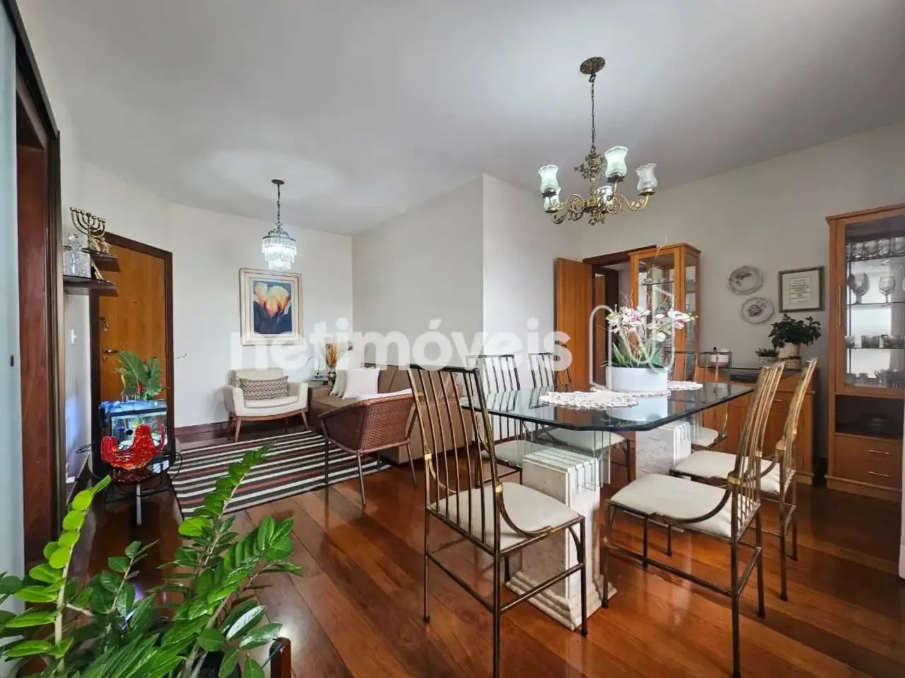 Venda Apartamento 3 quartos Barroca Belo Horizonte