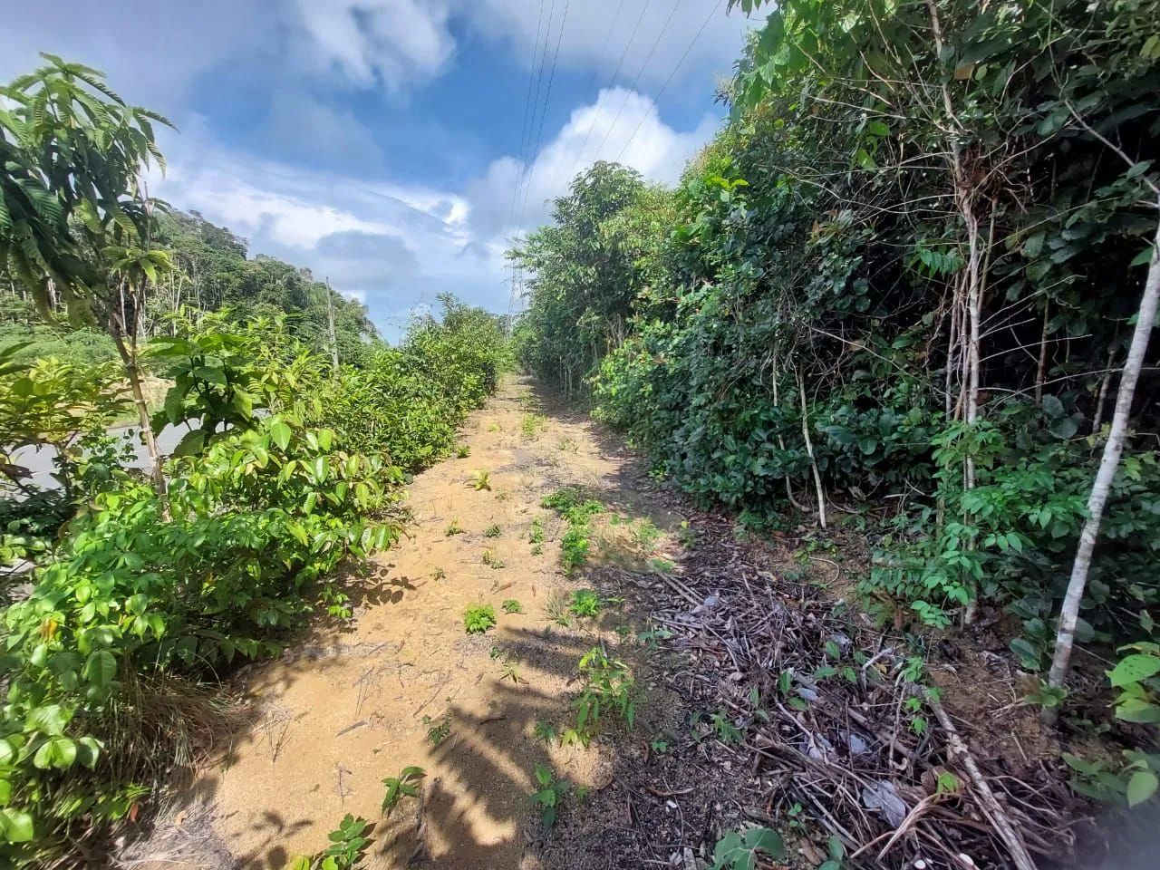 Terreno pros seus sonhos de uma chácara - Foto 2