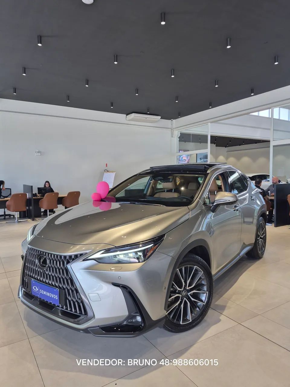 Lexus NX-450h+ AWD 2.5 16V Aut. (Híbrido), foto 2 de 15