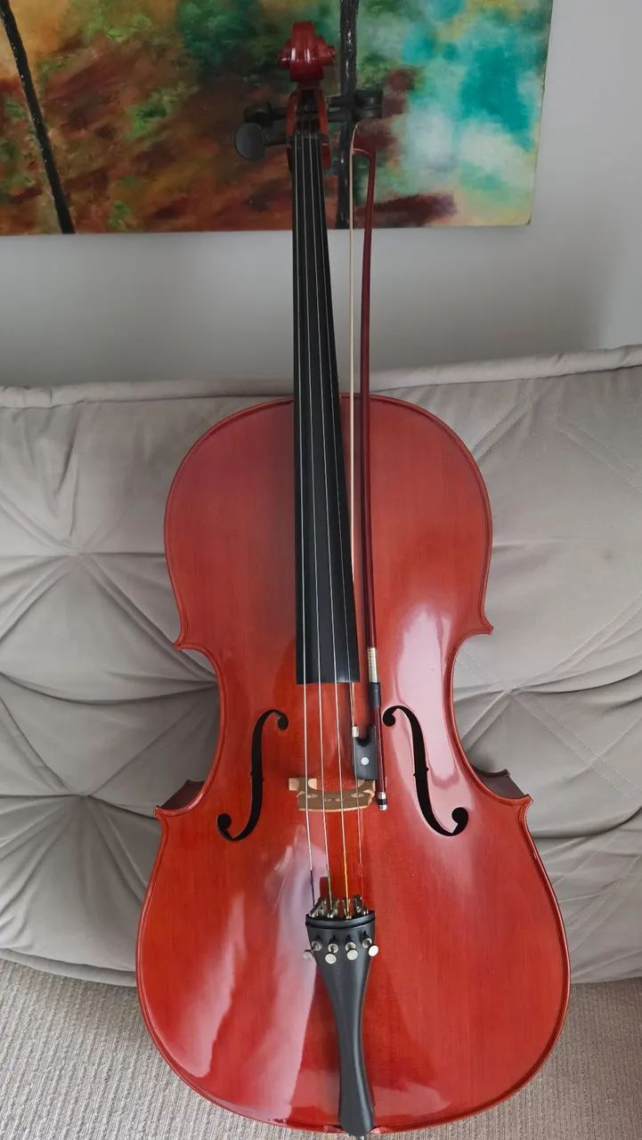 Violoncelo Michael 4/4 