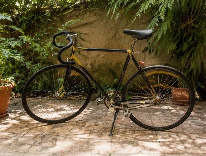 Bike Speed/Fixa Vintage Estilo Retrô | Monark Custom