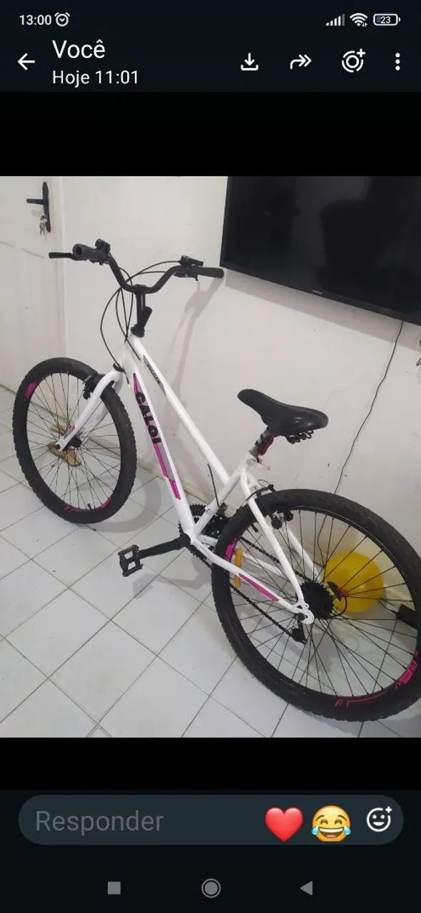 Bicicleta 
