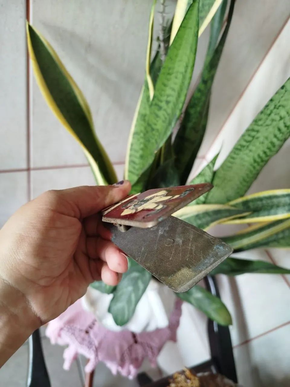 Prendendo Antigo - Original Grego - Foto 3
