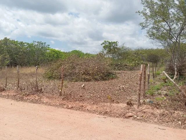 Terreno ideal para sítio ou chácara. - Foto 2