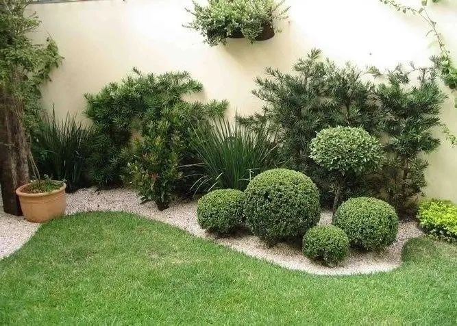 Manutenção em grama, Corte e Plantio - Foto 2