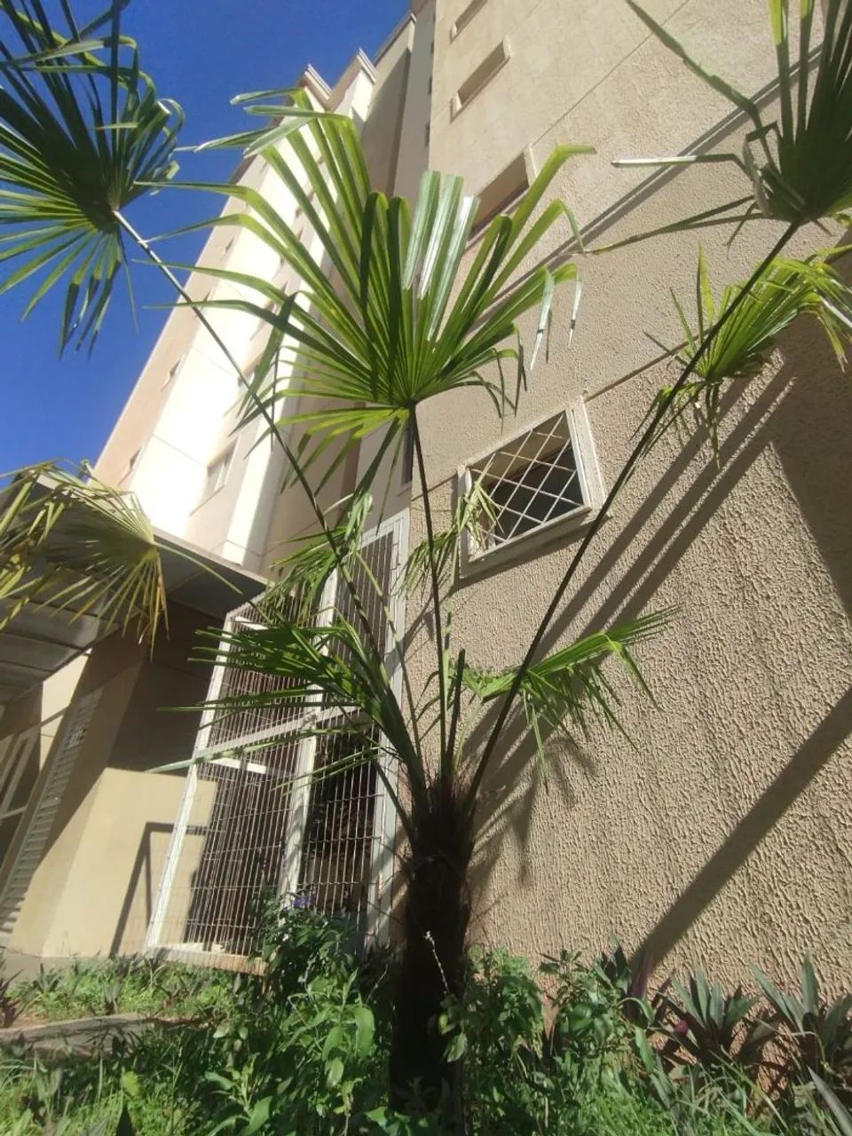 Aluguel de apartamento em Samambaia Sul  - Foto 5