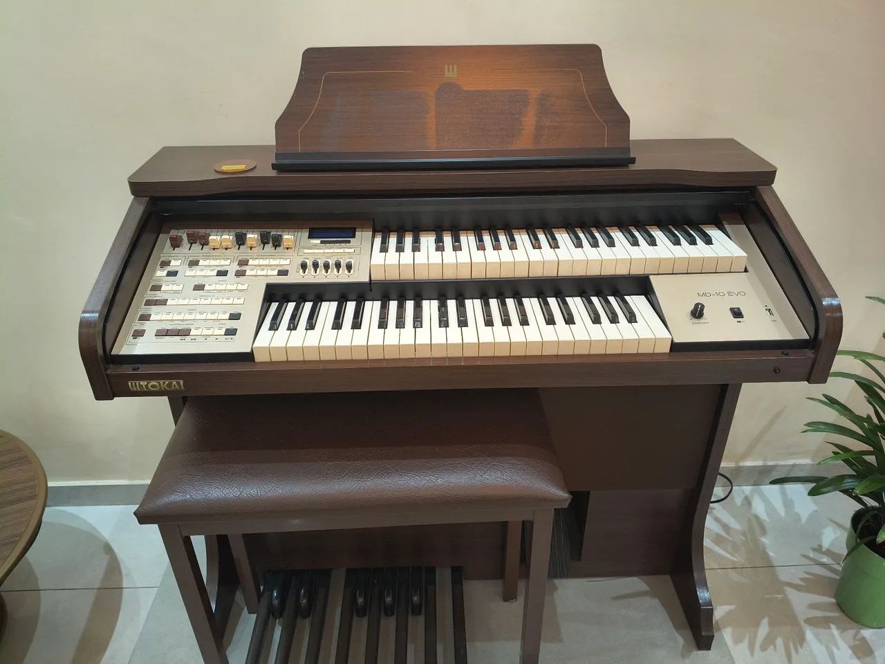 Órgão eletrônico 