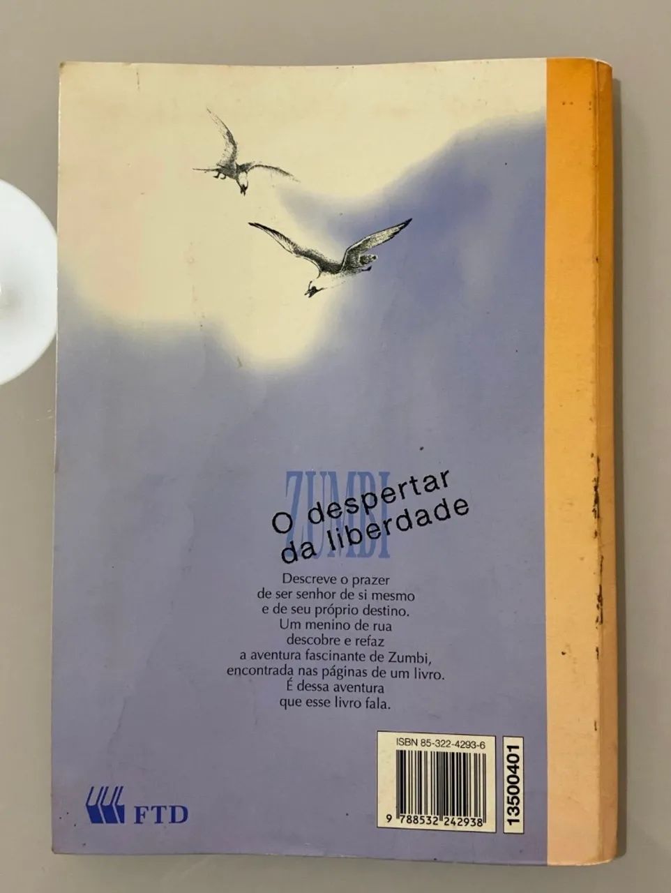 Livro O despertar da Liberdade  - Foto 2