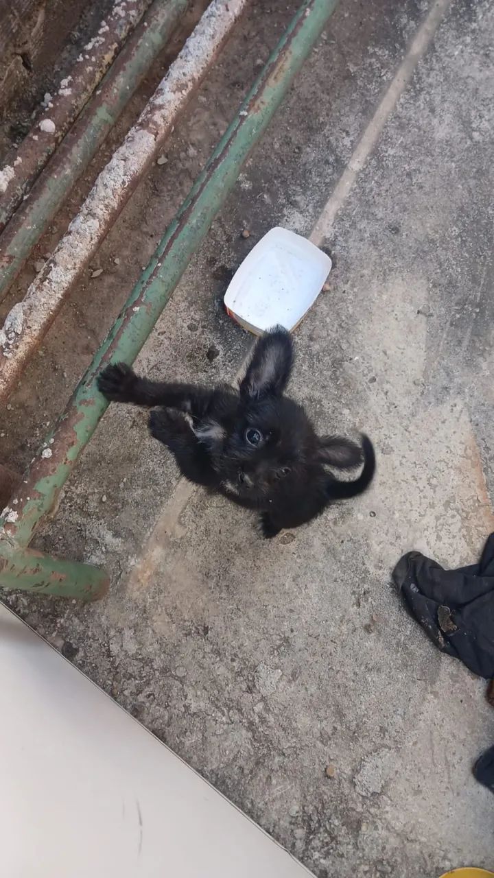 Doação 
