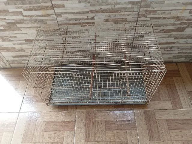 Gaiola para calopsita  - Foto 2