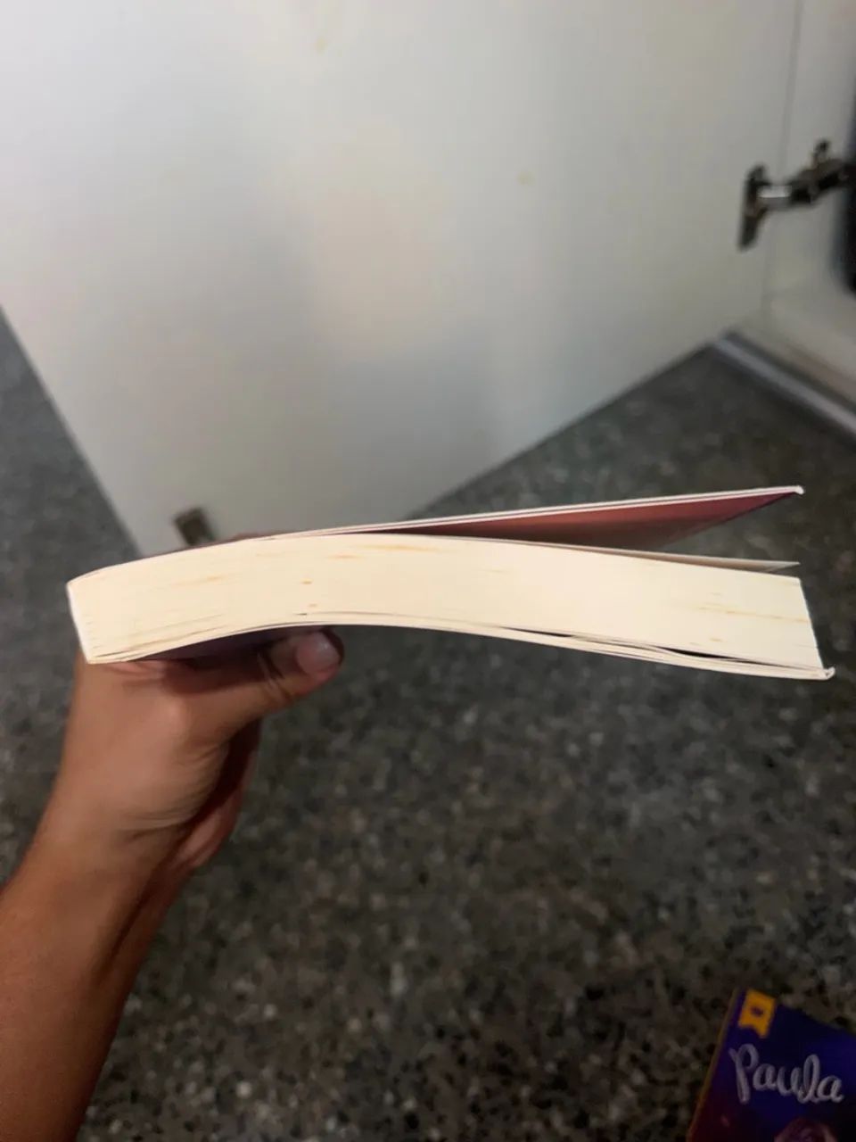 Confissões de uma garota desastrada livro  - Foto 3
