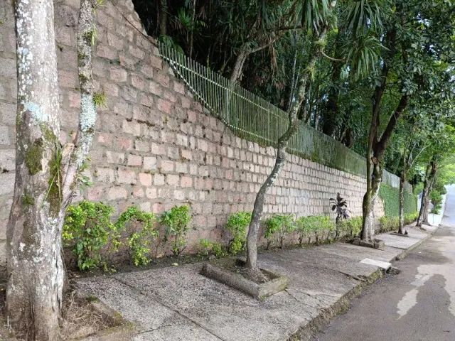 Poda e Limpeza de Cerca Viva e Arbustos em Joinville - Foto 4