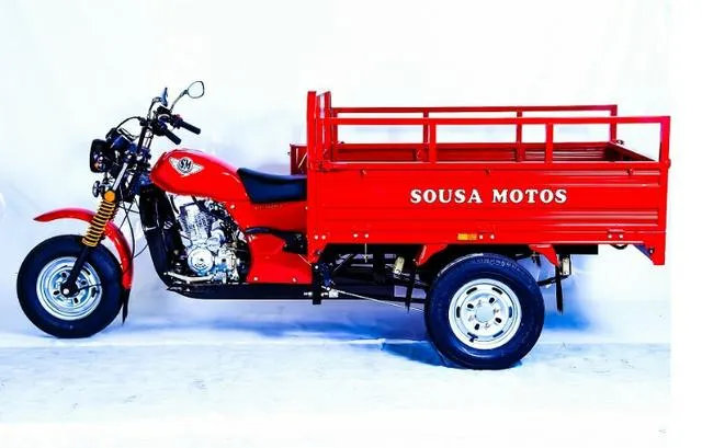 Triciclo Cargo 150cc Sousa-AM
