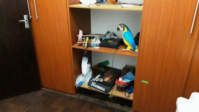 Casa à venda, 3 quartos, 2 vagas, carlos prates - belo horizonte/mg - Foto 12