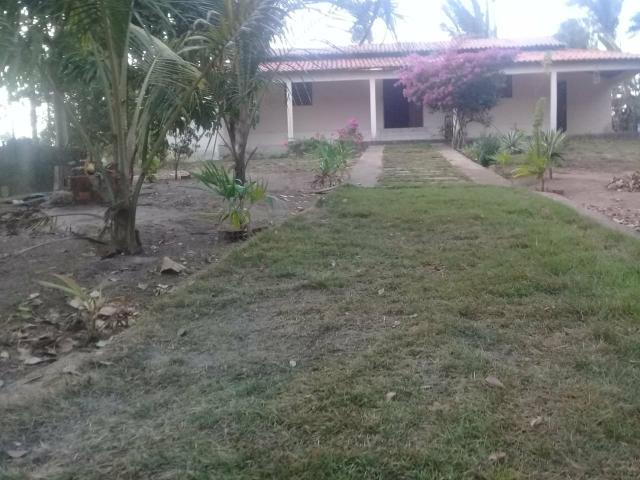 Vende-se sítio no cajupari próximo a expoema - Foto 3