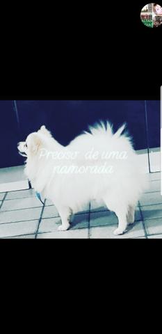 Nick procura namorada