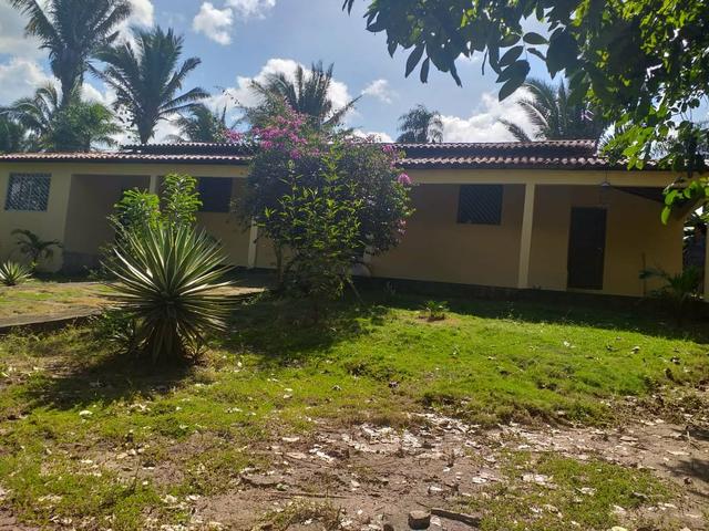 Vende-se sítio no cajupari próximo a expoema - Foto 8