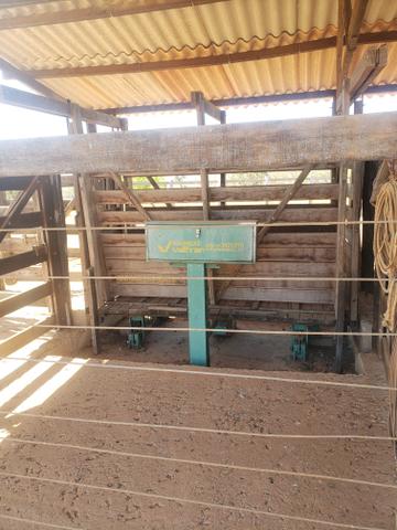 Fazenda de 510ha em Buritis MG - Foto 4
