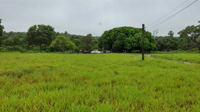 Fazenda Cuiabá Livramento 305,65hect