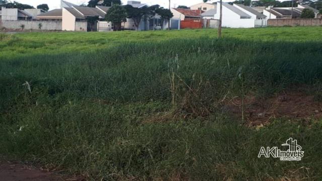 8046 | Terreno à venda em Centro, Nova Esperança