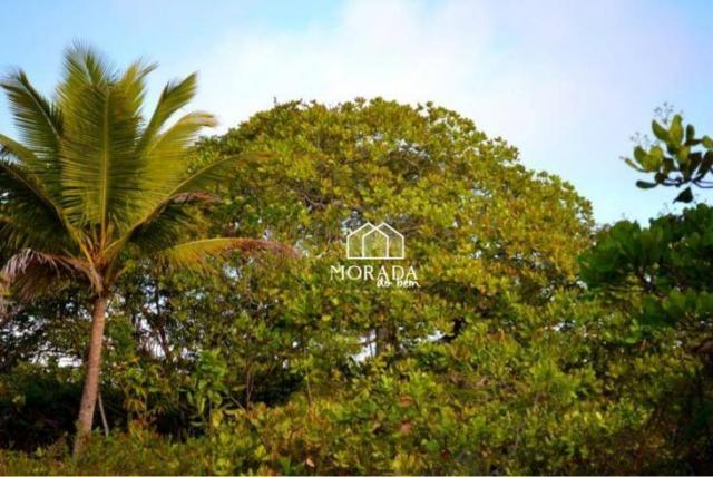 Terreno à venda, 40.920m² por R$ 690.000 - Barra Grande - Maraú/BA - Foto 10