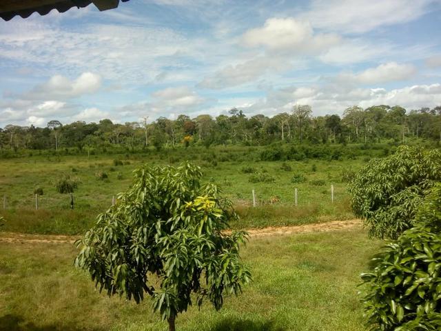 Vendo uma colônia com 100 Hectares de terra - Foto 4