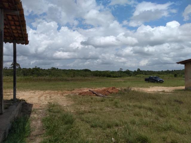 No Pará,175 hectares ha região de Castanhal-Pará por 1.400.000,00 documentada - Foto 14