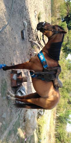 Vendo - Foto 3