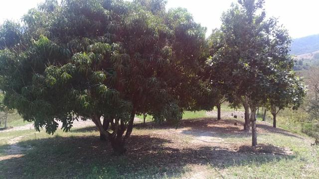 Chácara - Foto 5